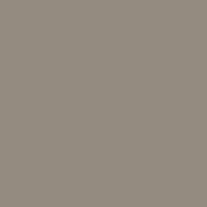 AMT-1 Marrón Gris Claro