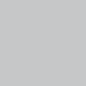 70601 Gris