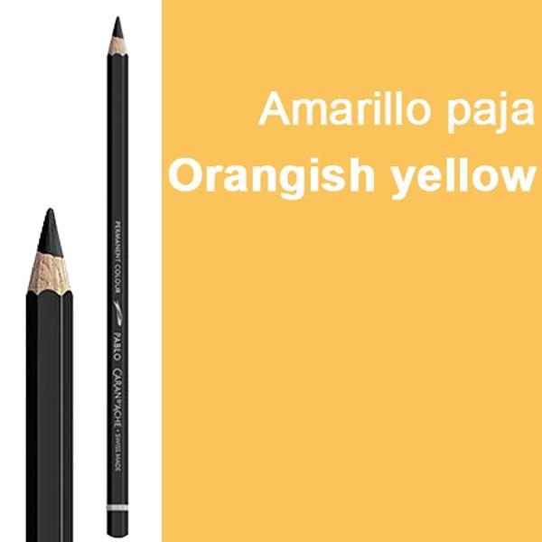 AMARILLO PAJA 031