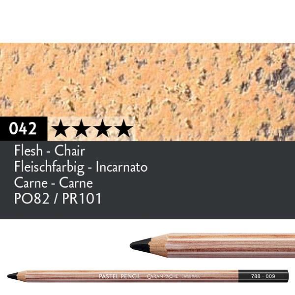 CARNE 042
