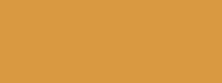 AMARILLO INDIO - 215