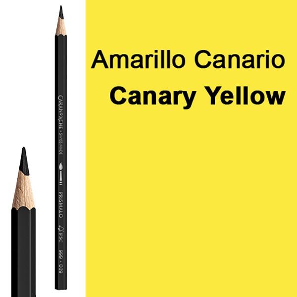 AMARILLO CANARIO 250