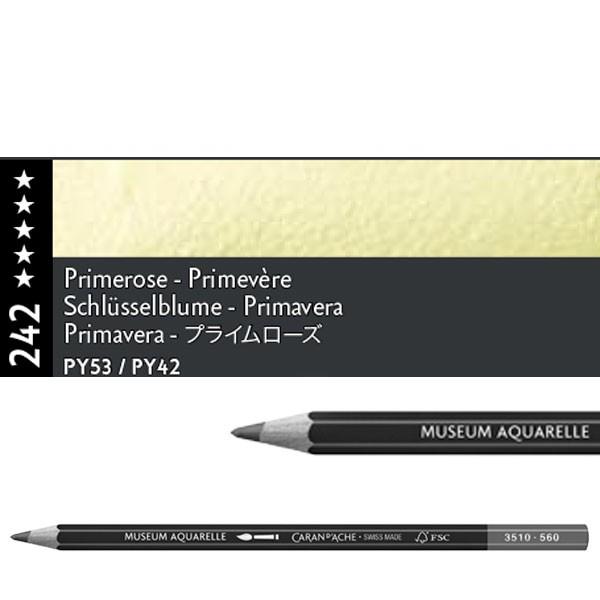 PRIMAVERA 242