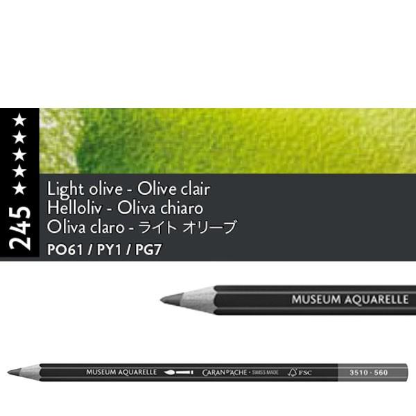 OLIVA CLARO 245