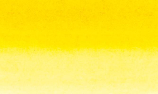 AMARILLO SENEGAL