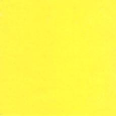 PRIMARY YELLOW
