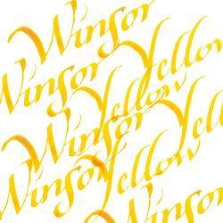 AMARILLO WINSOR