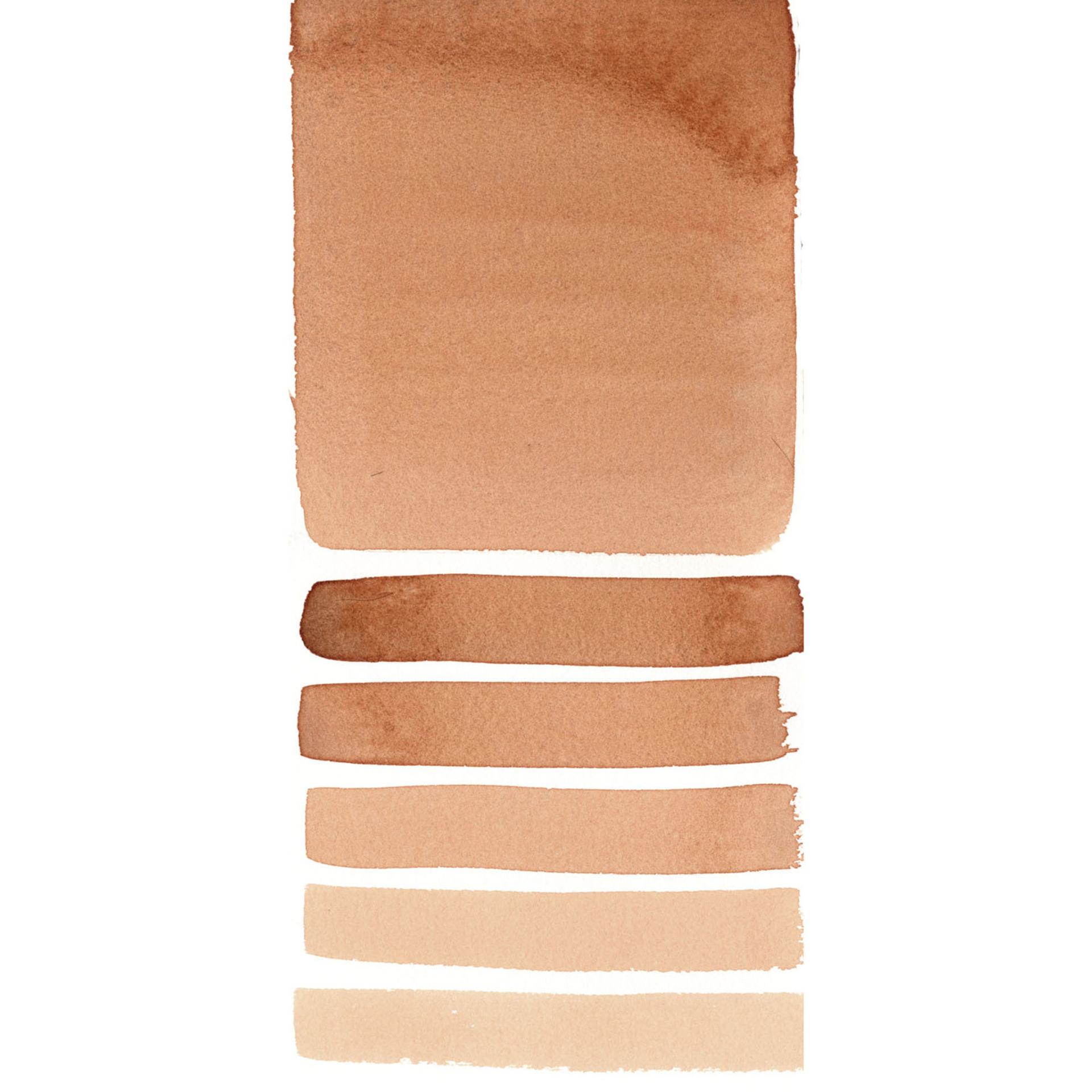 Burnt Sienna Light 230