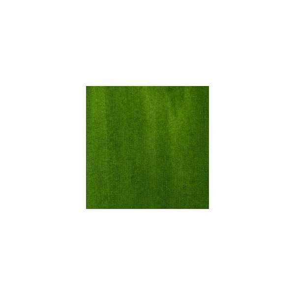 VERDE DE VEJIGA