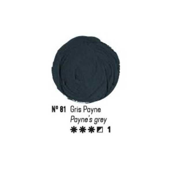 GRIS PAYNE 81