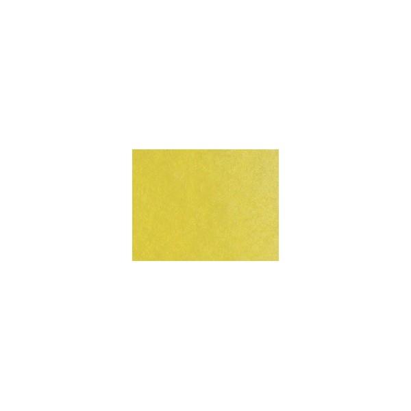 AMARILLO PERM. CLARO