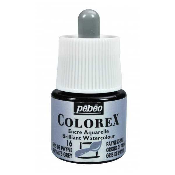 GRIS DE PAYNE