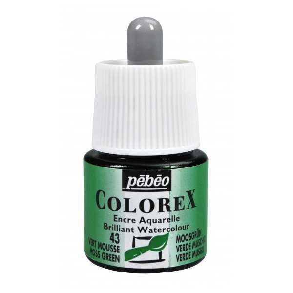 OLIVA