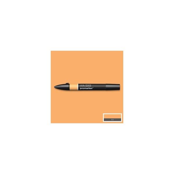 APRICOT (O538)
