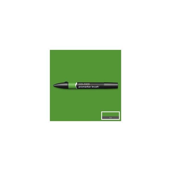 FOREST GREEN (G356)