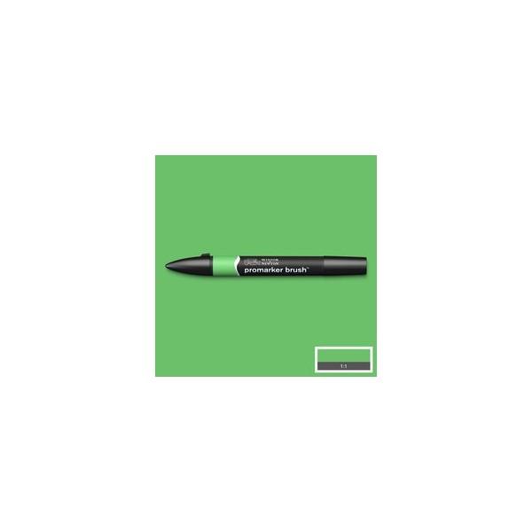 GRASS (G457)