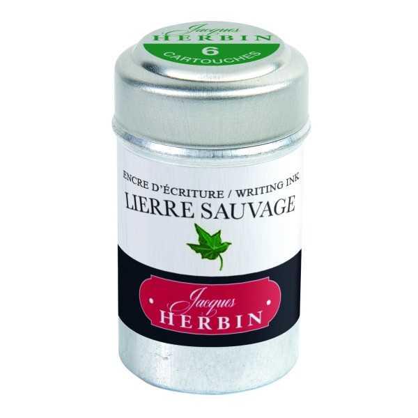 LIERRE SAUVAGE