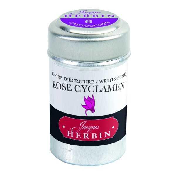 ROSA CYCLAMEN