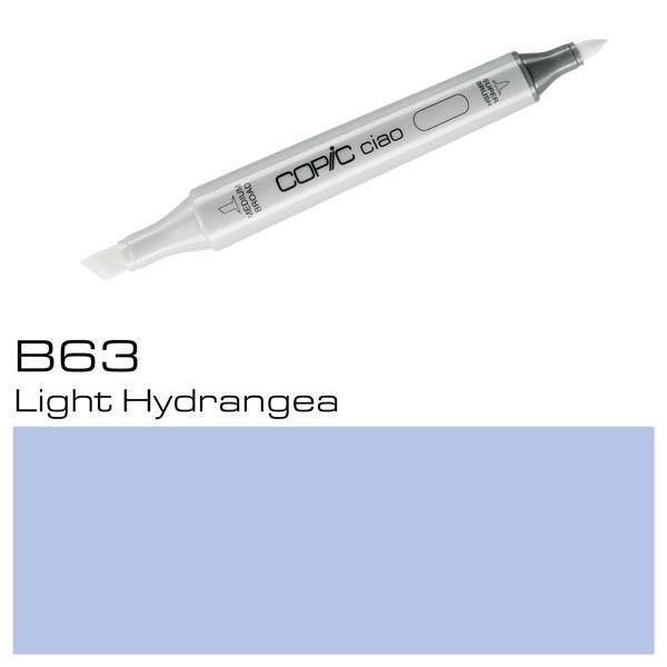 B63 LIGHT HYDRANGEA