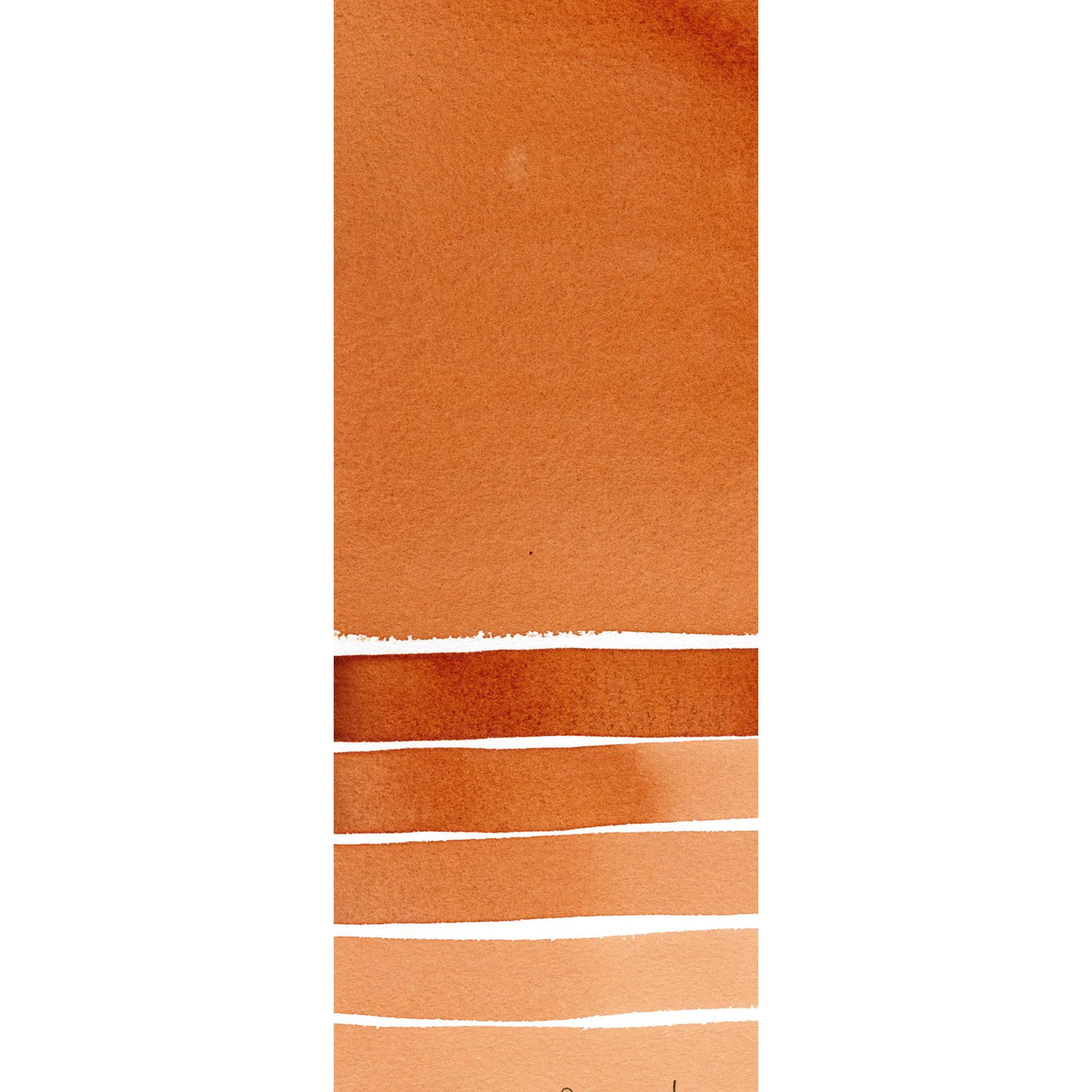 Quinacridone Burnt Orange 086