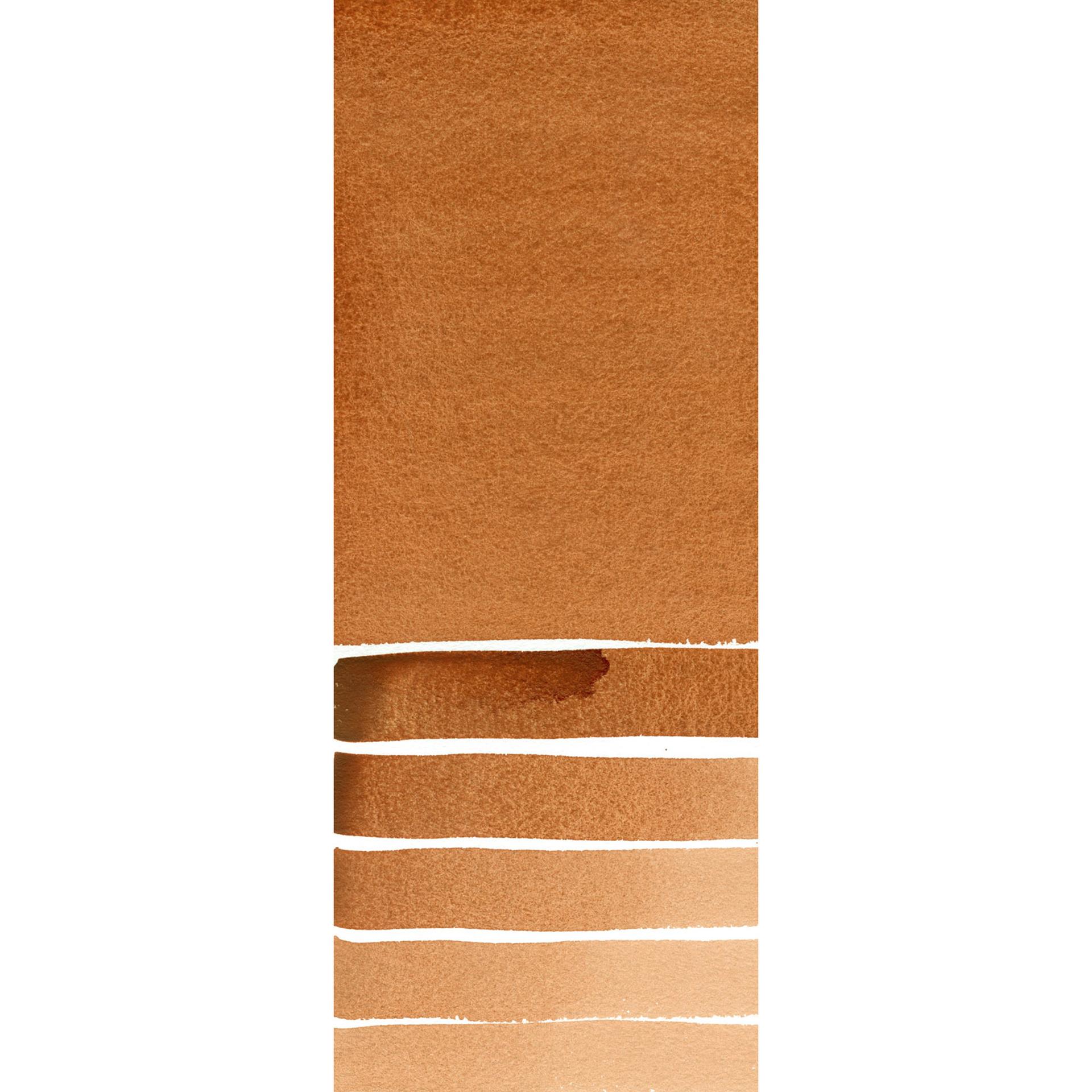 Burnt Sienna 010
