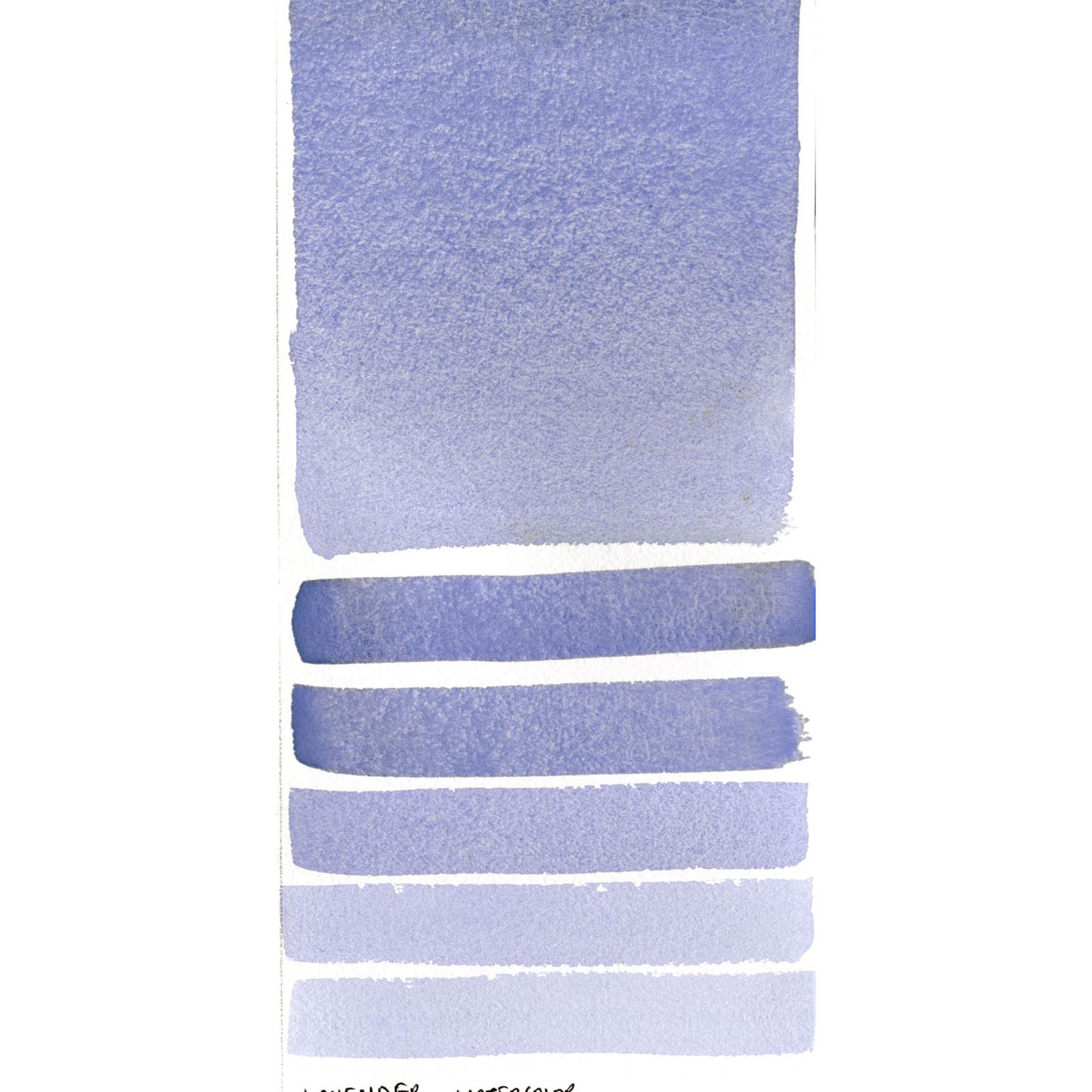 Lavender 232
