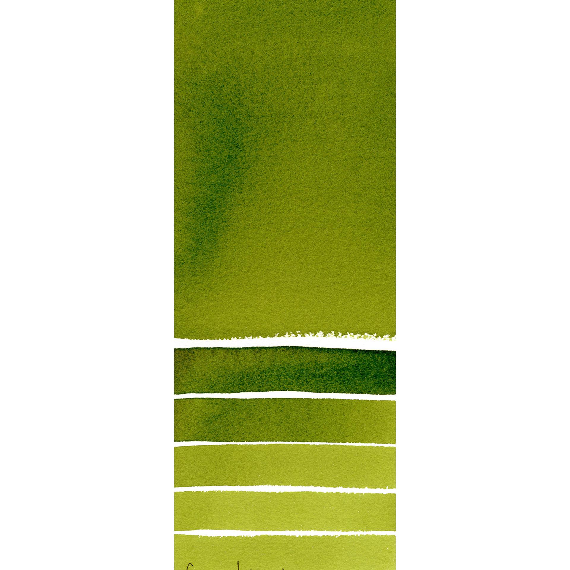 Sap Green 102